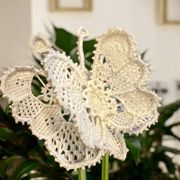 BUTTERFLY BURANO LACE